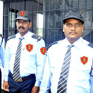 Security Team at Work